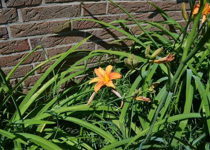 Lejlighed Kutter Im Schiffehaus *